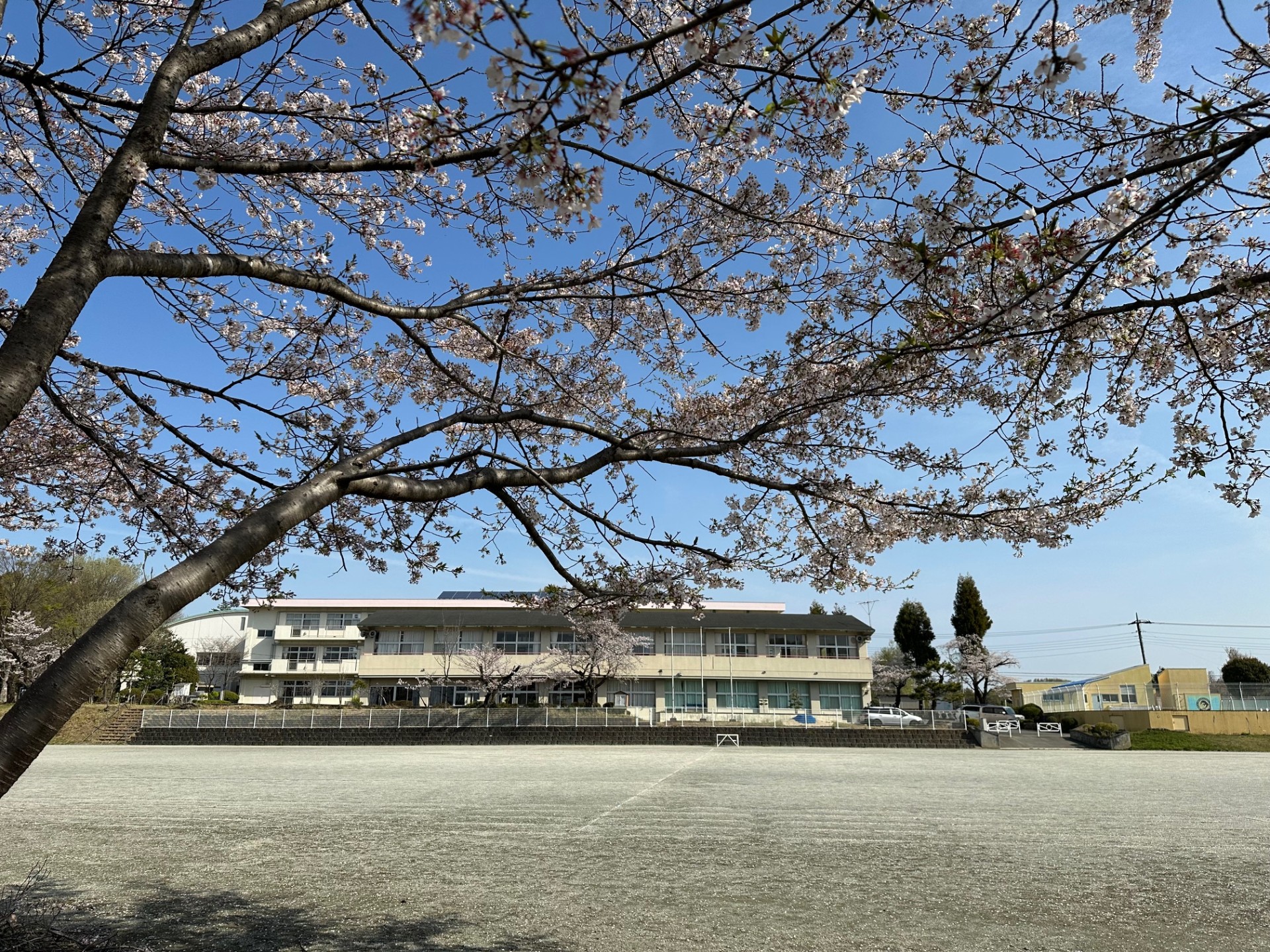 【大岡小】差替写真.jpg