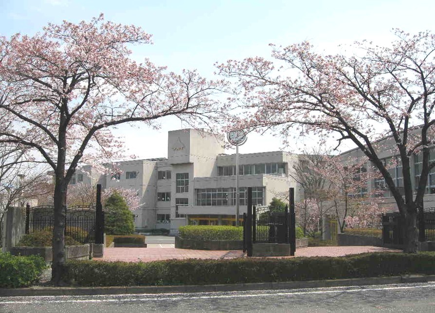 校舎と桜.jpg