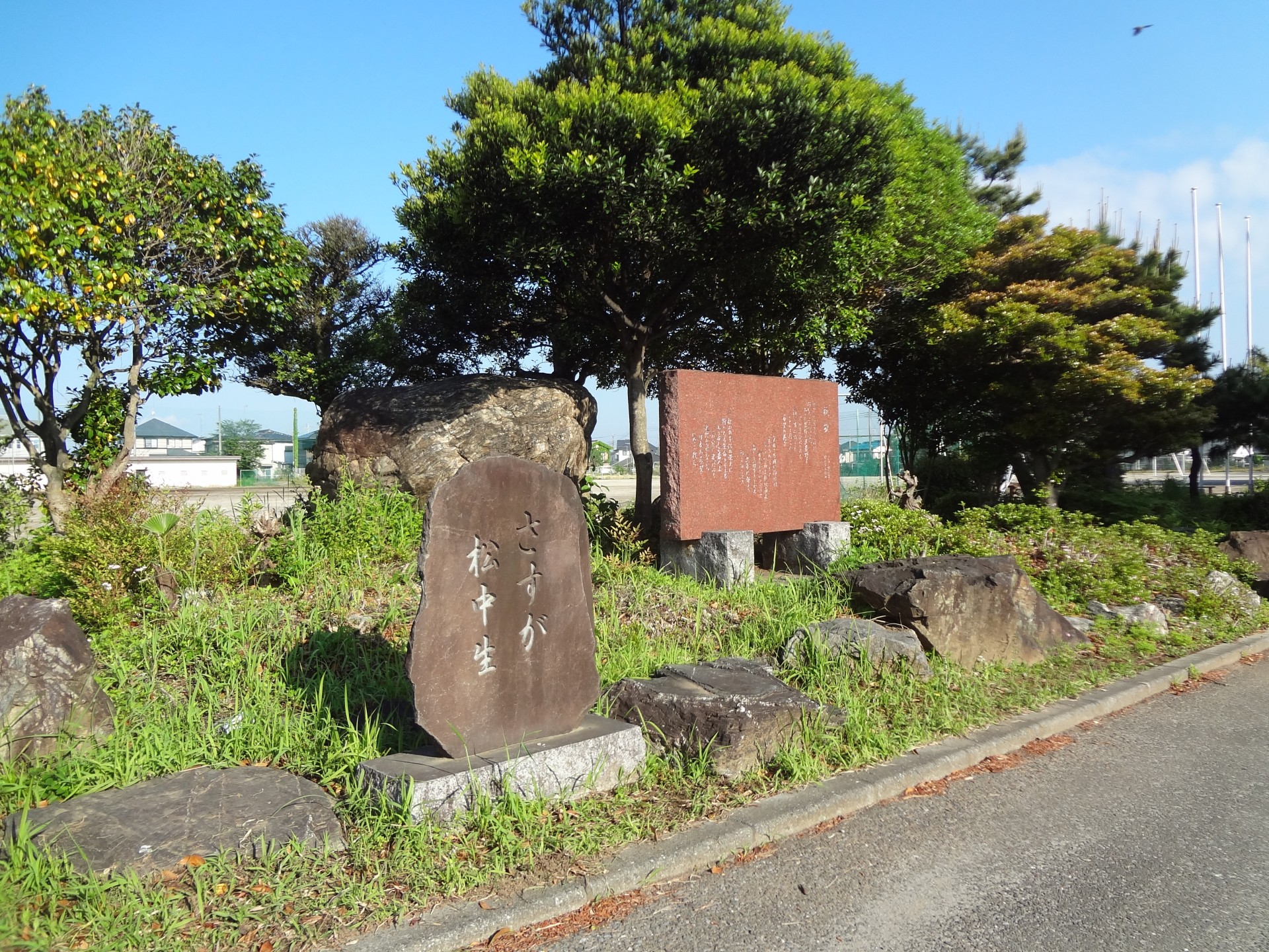 DSC09738.JPG